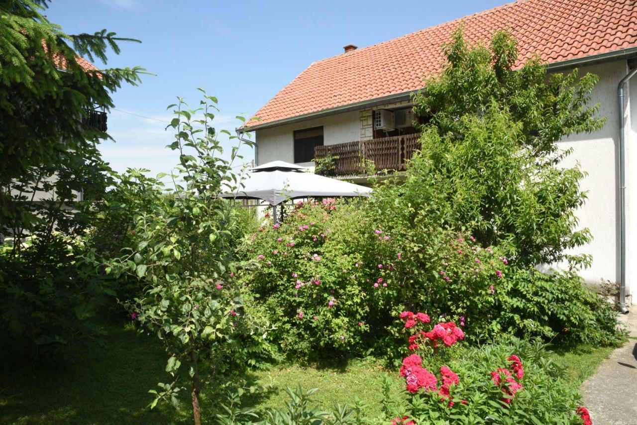 Apartment Dedine Golubac Exterior foto